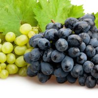 Hibridne sorte grožđa