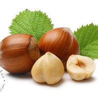 Sadnice kalemljenog lešnika