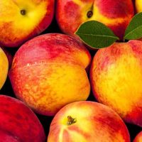 Nektarina - Mej Grand