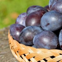 <h3 class=”product-title”>Sljiva - Petra</h3>