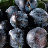 <h3 class=”product-title”>Sljiva - Crnosljiva</h3>