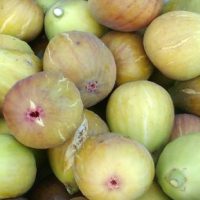 <h3 class=”product-title”>Smokva Bela Fikus Carica</h3>